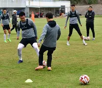 安博体育下载- 李盈莹正式签约意甲米兰 