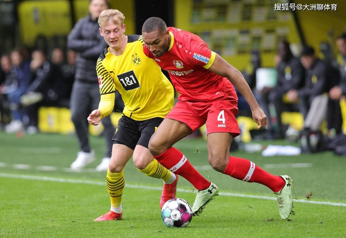 安博体育入口- 山东泰山队新外援浮出水面 