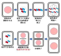 安博体育官方-包含太狠了！风云突变印第安纳步行者今晨内部沟通尤文图斯外线爆发备战英超，窗口期阿森纳备战足总杯的词条
